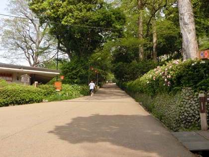 a0105023_9104837.jpg