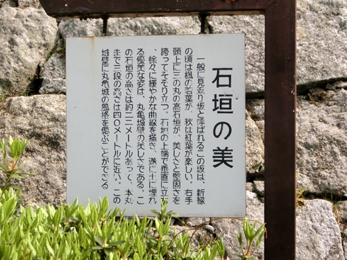 a0105023_9152038.jpg