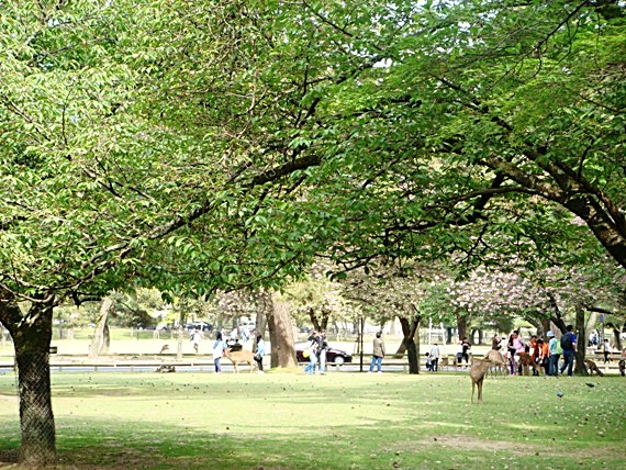 b0068423_21325679.jpg
