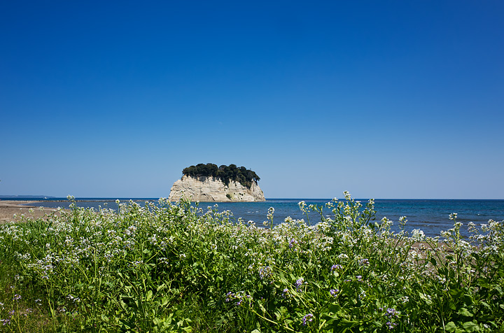 b0085526_1783174.jpg