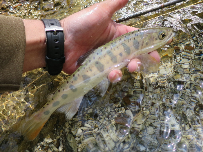 f0103126_21192583.jpg