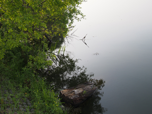 c0204027_2204456.jpg