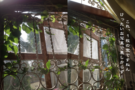 d0042827_20552633.jpg