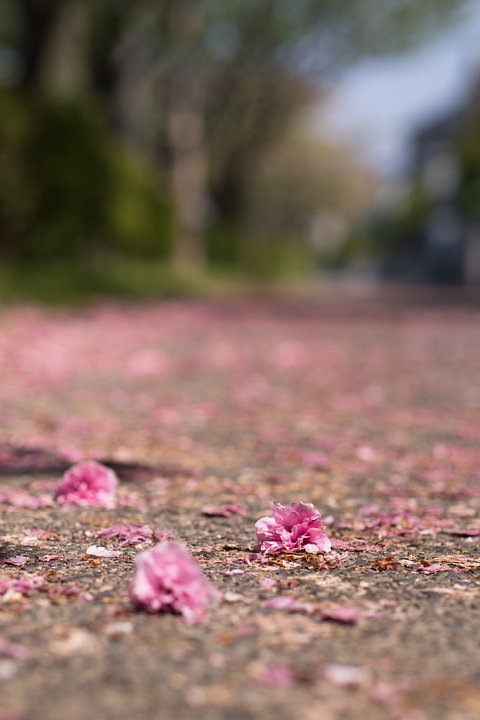 b0134829_15545799.jpg