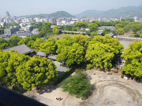 c0103830_14331165.jpg
