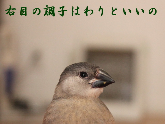 c0365734_2324583.jpg