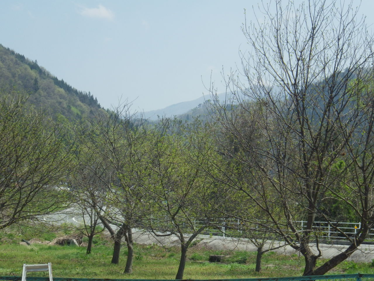 c0300035_11594851.jpg