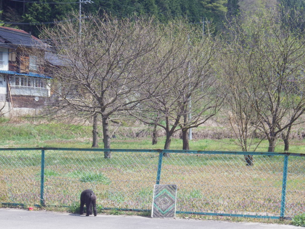 c0300035_1225825.jpg