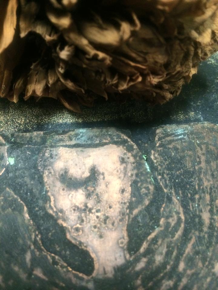 e0256436_7231642.jpg