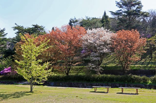a0242438_18253717.jpg