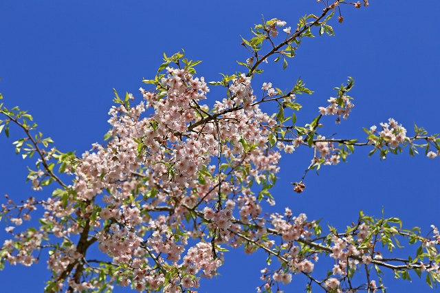 a0242438_18254825.jpg