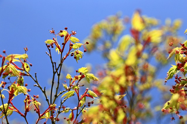 a0242438_182676.jpg