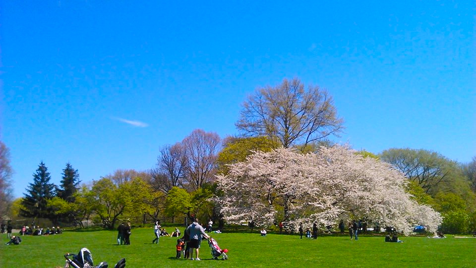 b0309645_0212165.jpg