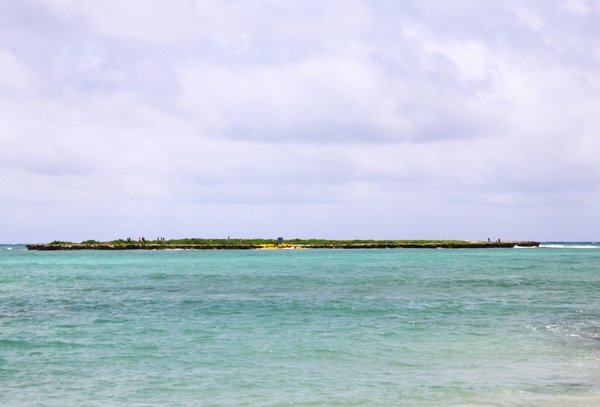 a0090451_9204289.jpg