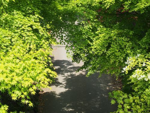 b0243152_12534598.jpg