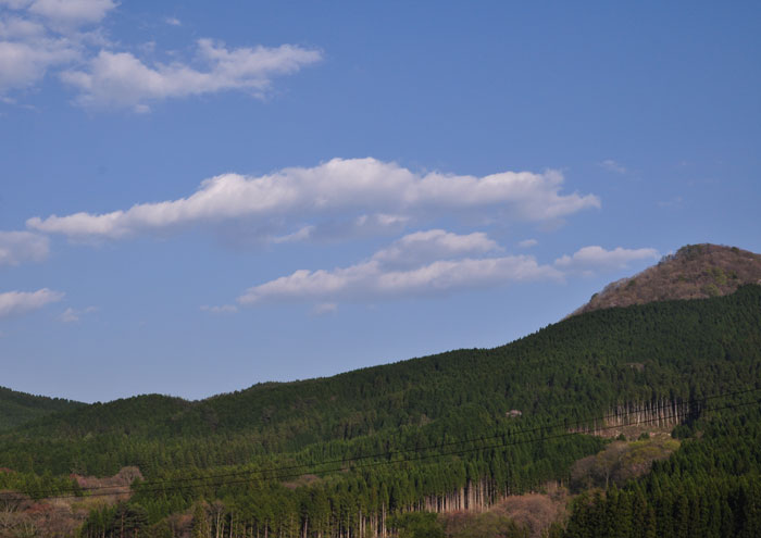a0284558_1114272.jpg