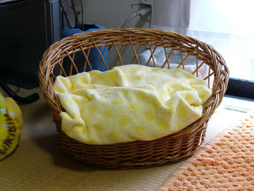 e0338659_13271501.jpg