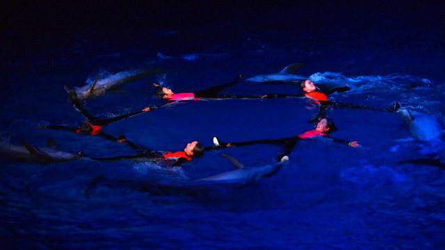 c0186760_23463342.jpg