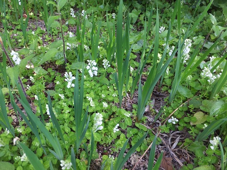 f0113862_15102339.jpg
