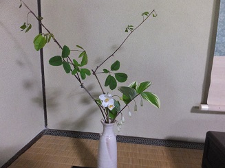 f0113862_15155162.jpg