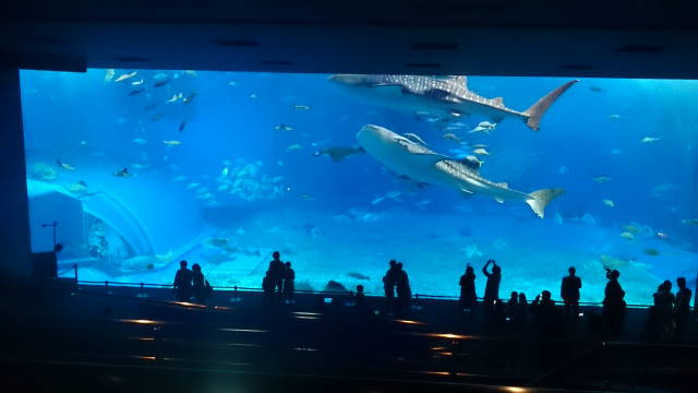 c0155364_23423764.jpg