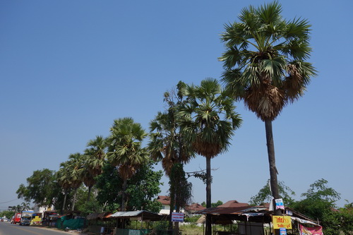 c0357964_1401378.jpg