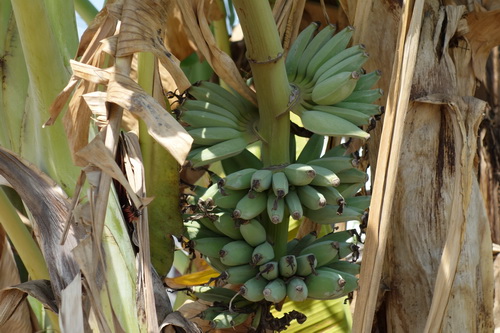 c0357964_140391.jpg