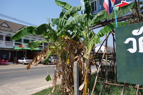 c0357964_140964.jpg