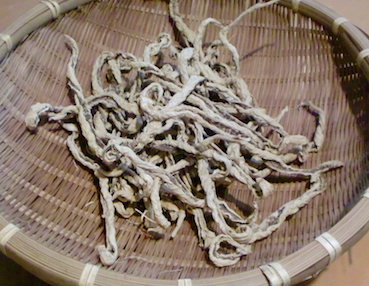 a0234877_744127.jpg