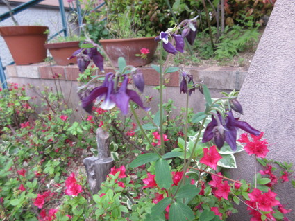 f0053885_20221459.jpg