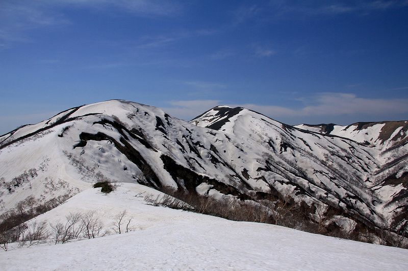 e0137200_1557915.jpg