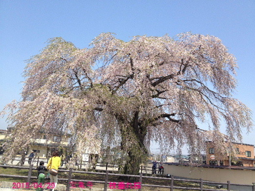 a0337807_22383389.jpg