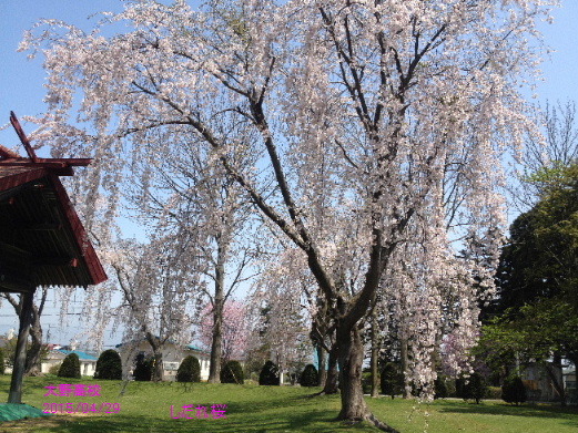 a0337807_22400099.jpg