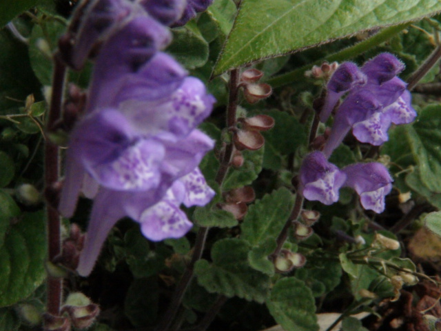 f0231709_102153100.jpg