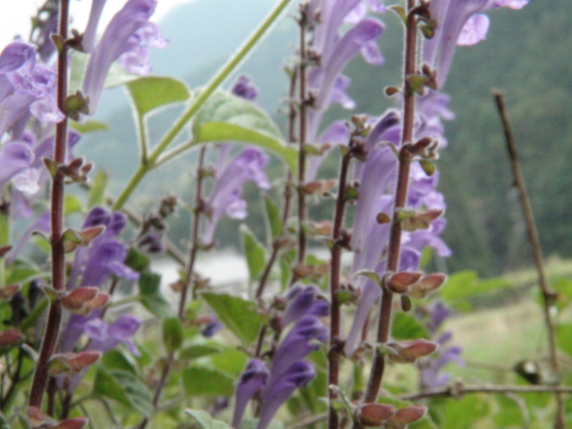 f0231709_10223168.jpg