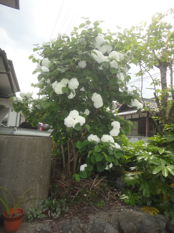 f0231709_1424784.jpg