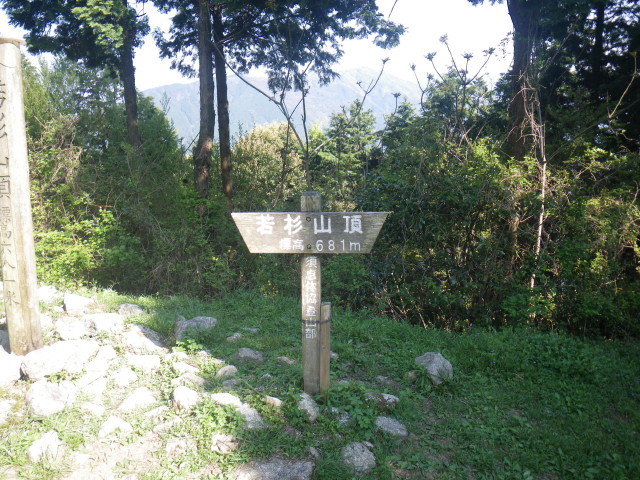 d0006512_16463009.jpg