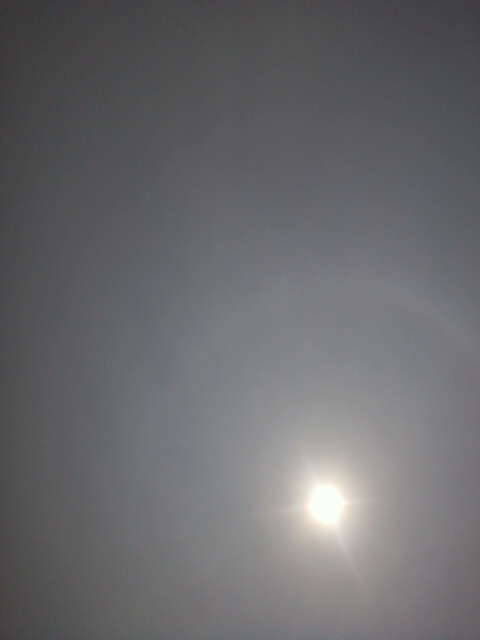 e0099212_231067.jpg