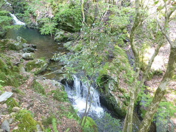 d0170615_14292359.jpg