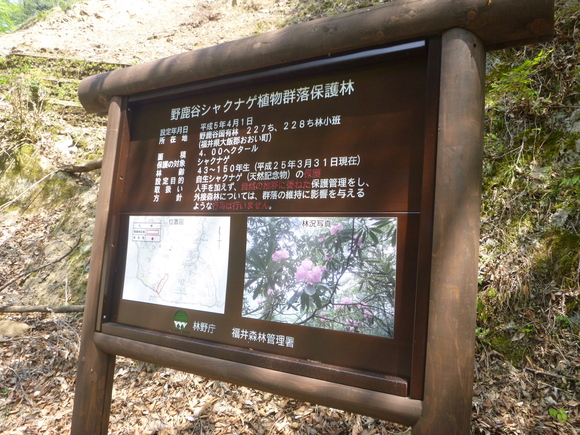 d0170615_14293034.jpg