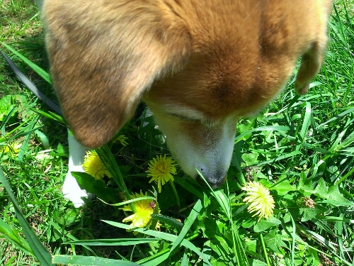 c0084117_22104737.jpg