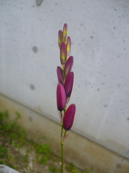 f0228619_7111716.jpg