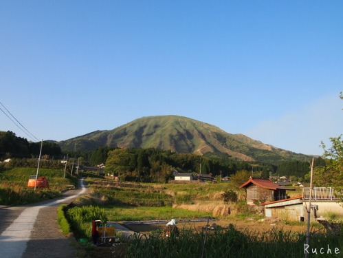 c0103830_18484731.jpg