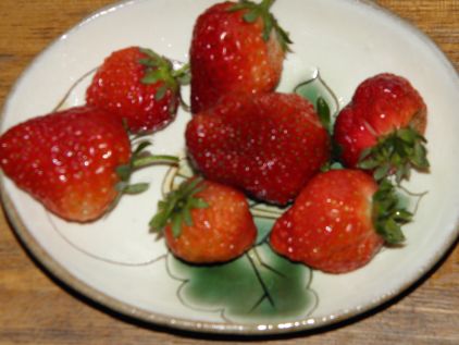 c0229433_20431495.jpg