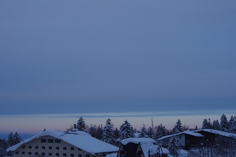 b0042334_9152172.jpg