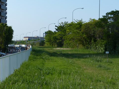 f0068341_23572043.jpg