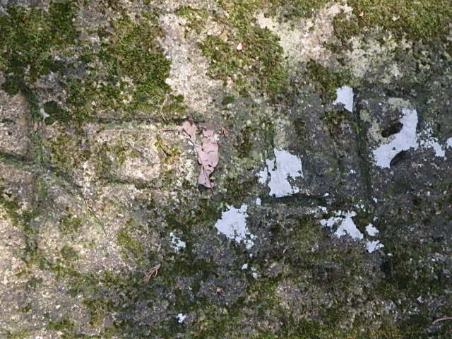 f0334143_18404395.jpg