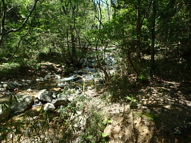 f0334143_18422350.jpg