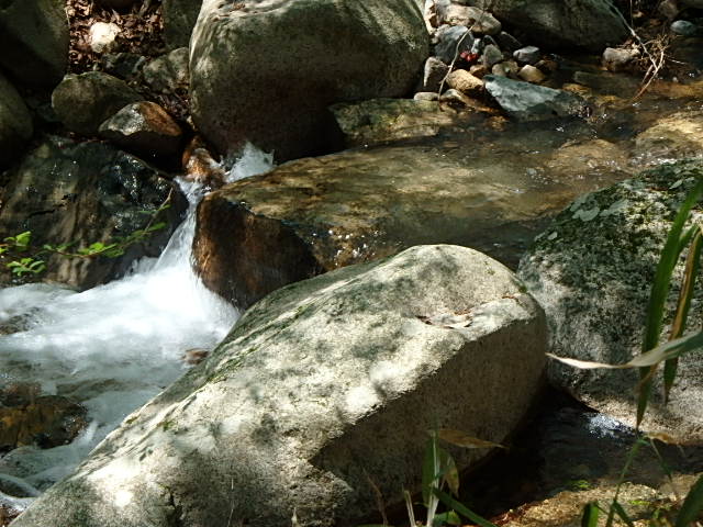 f0334143_18423321.jpg