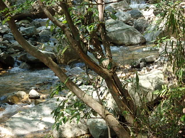 f0334143_18424719.jpg